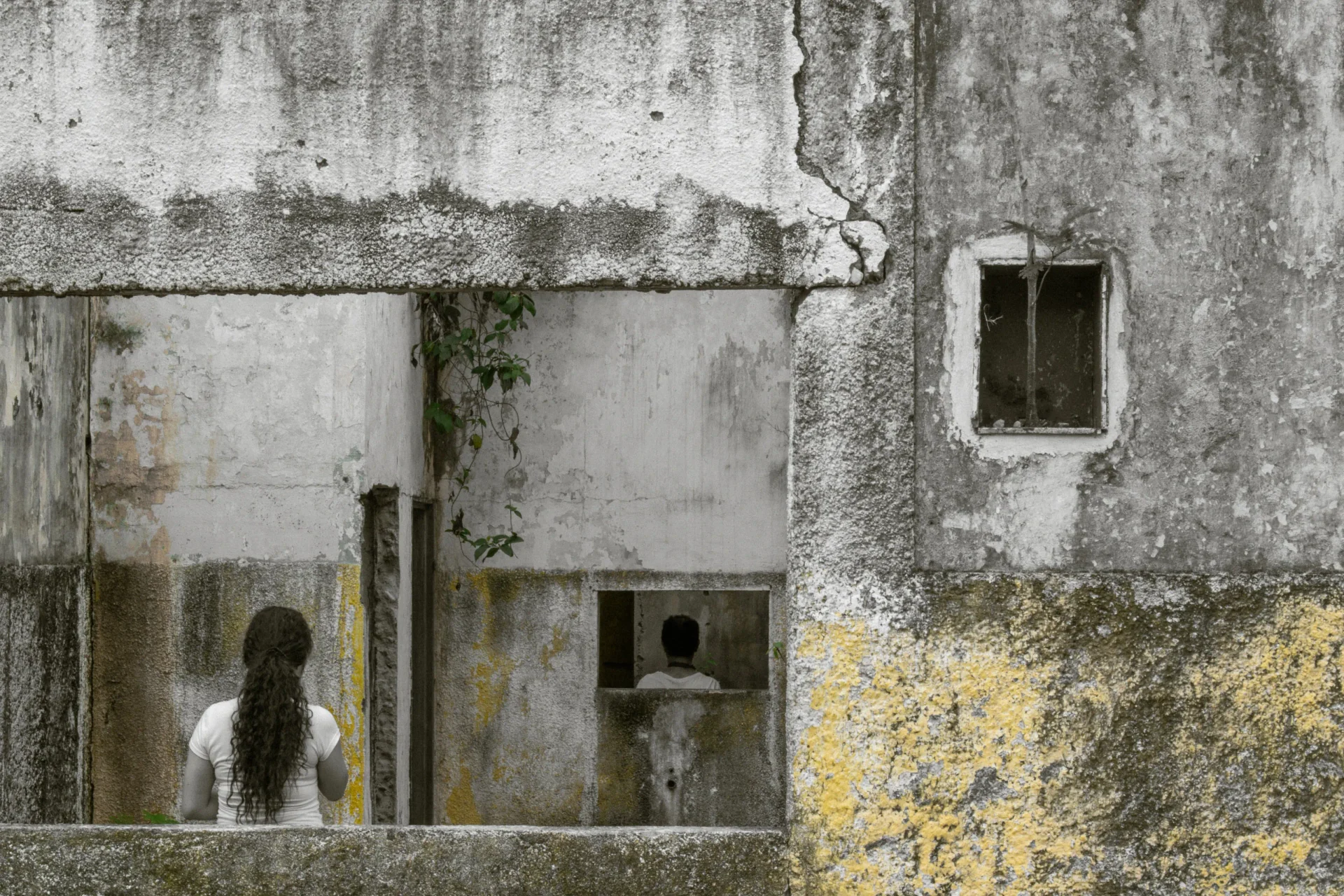Absence photograph 1