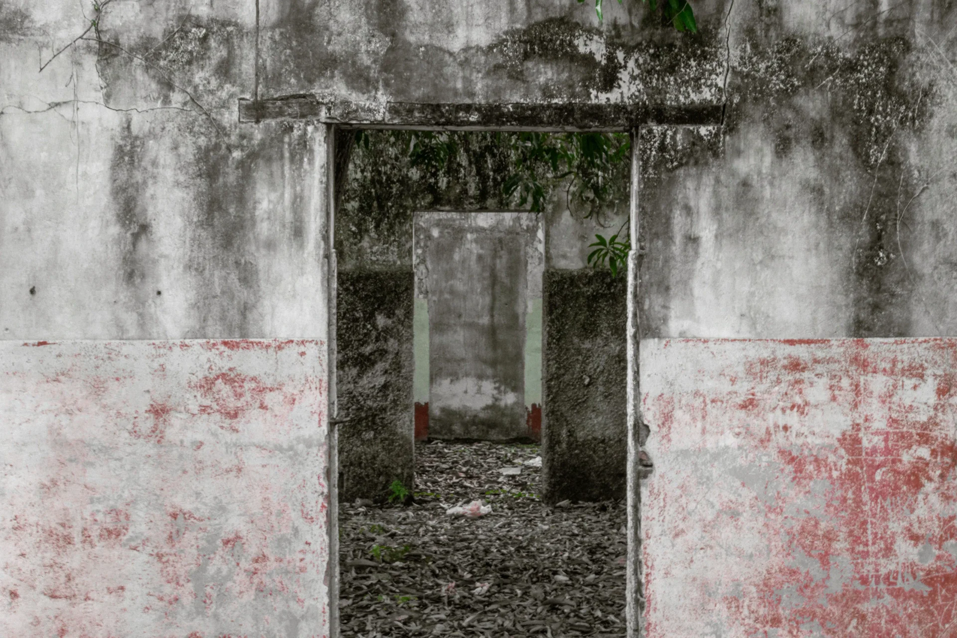 image-02