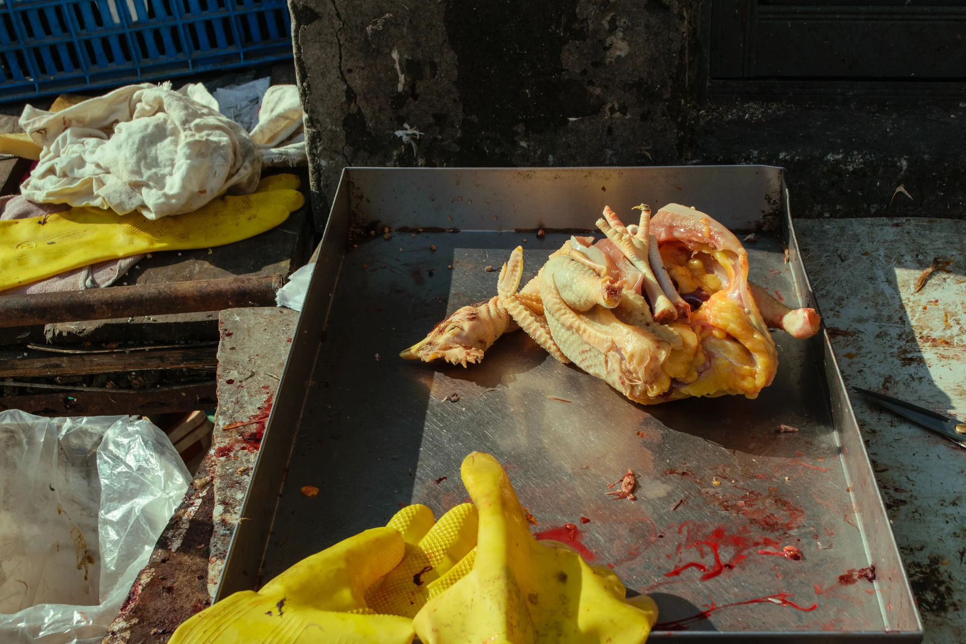 Anecdotes of a Flaneur in Shanghai photograph 5