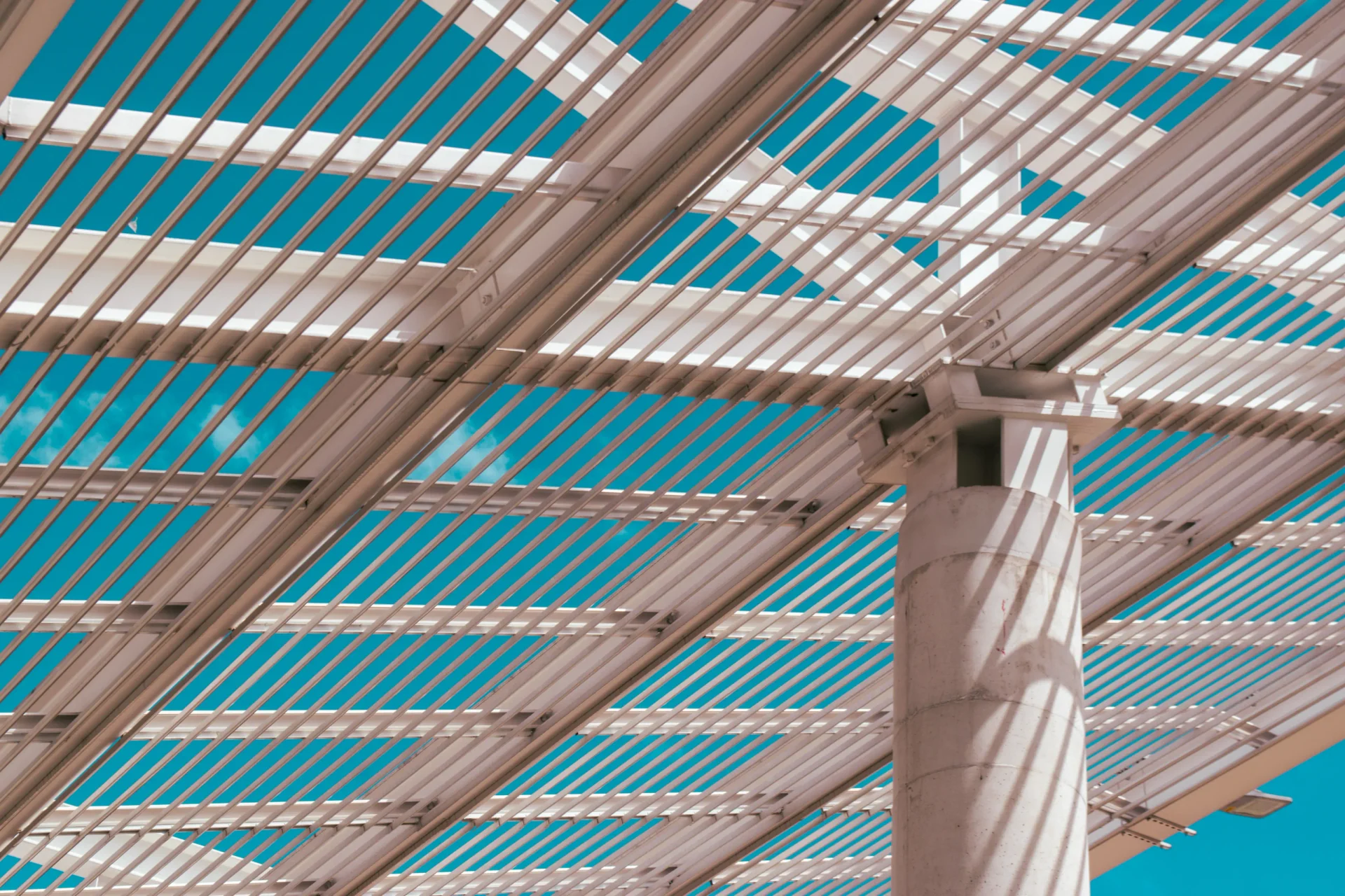 El Tunal Sports Center photograph 5